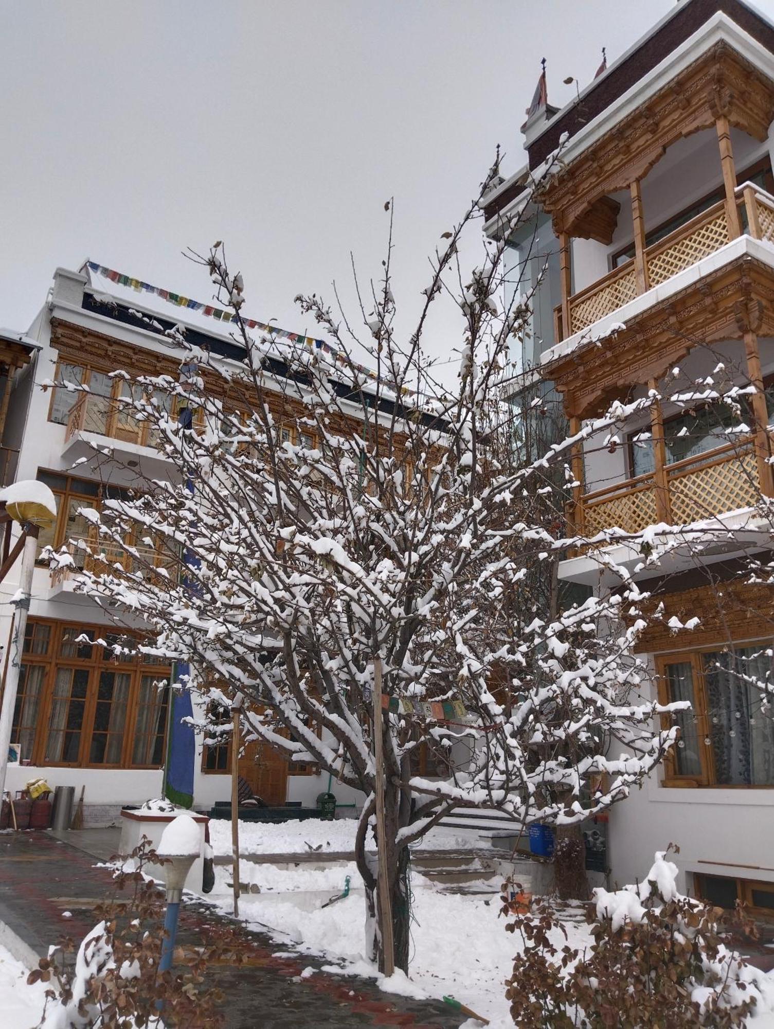 Hotel Jigmet, Leh Exterior photo